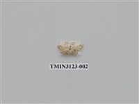 藏品(螟蛾230)的圖片